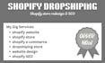 develop shopify dropshipping stores for niche markets