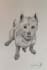 draw a pencil portrait of your pets