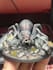 paint your tabletop miniatures to a professional standard