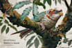 draw scientific animals encyclopedia book illustrations