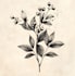 design a custom botanical logo