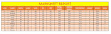 create interactive excel dashboard and automate your reports