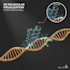 do molecular docking, admet analysis