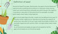 create professional agriculture powerpoint presentations and slides