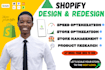 build shopify store or shopify dropshipping website
