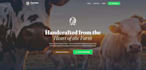 build a modern responsive website with interactive design