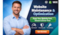 website maintenance support website fixes upgrade optimization website migration