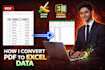 convert pdf to excle and clean IT , give it a tabular form
