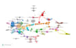 provide research consultation bibliometric analysis support