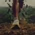 create a cinematic adv