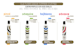 crearé infografías de alto impacto gráfico