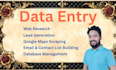 do data entry,ata input, data extraction, collection, data mining