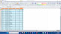 do exel data entry and data cleaning professionally