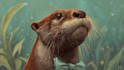 custom animal cartoon illustration
