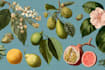 make a marvelous botanical flowers illustration