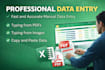 do expert ms excel data entry and data formatting cleanup