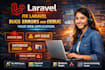 fix laravel bugs and errors fast