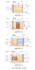 produce detailed autocad plans, sections, and elevations