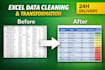 clean, format and in excel using conditional formatting
