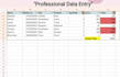 do fast and accurate data entry PDF to excel expert