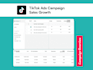 create tiktok ads campaign and manage tiktok marketing ads for ecommerce sales