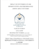 provide speech language pathology consultation therapy plan