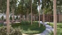 design small garden, backyard landscape and planting design