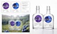 design premium bottle labels for wine, gin and spirits