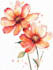 illustrate best botanical illustration