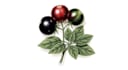 do a botanical illustration