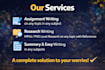 provide high standard writing services