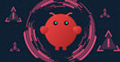 provide openclaw installation and develpment
