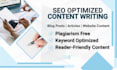 do content writing, article writing and SEO blog writing