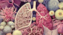 make medical and scientific illustrations
