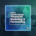 create a professional financial model and revenue forecast
