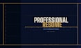 professionally format your resume or CV in word or PDF