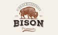 design professional bison logo