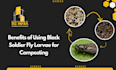 blog content writing with SEO optimized
