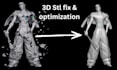 fix and optimize 3d stl file 3d character  file correcton anime 3d printing