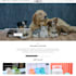 build a pet store shopify pet store dropshipping store