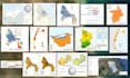 do gis mapping, geospatial analysis, satellite remote sensing analysis