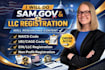 do sam gov, llc registration, obtain your uei, cage code and naics code