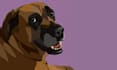 draw your pets portrait