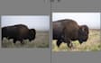 edit your photos in lightroom