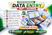 do fast and accurate data entry, excel work, copy paste and PDF conversion