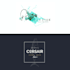 create seafood logo design