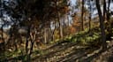create immersive open world in ue5, level design, terrain, map and environment
