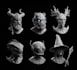 create custom 3d models