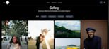 design professional graphics and websites