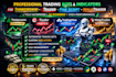 build trading bots for thinkorswim, ctrader, pine script, ninjatrader